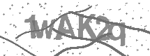 visual captcha